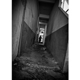 dailyPhoto9